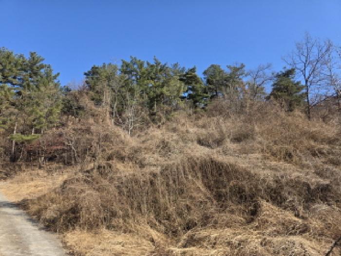 경상북도 청도군 이서면 신촌리 산7 임야 경매 사진 10