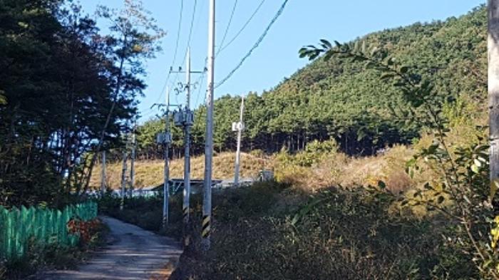 대구광역시 군위군 소보면 보현리 산15-6 임야 경매 사진 18