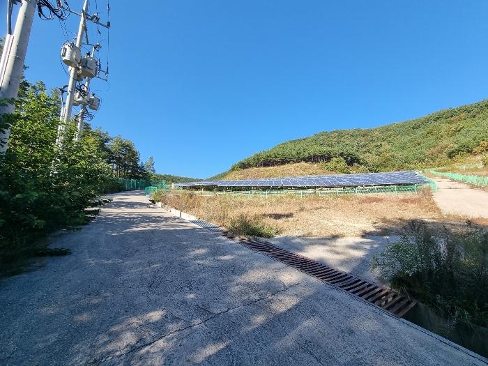 경상북도 의성군 구천면 장국리 산66-1 임야 경매 사진 13
