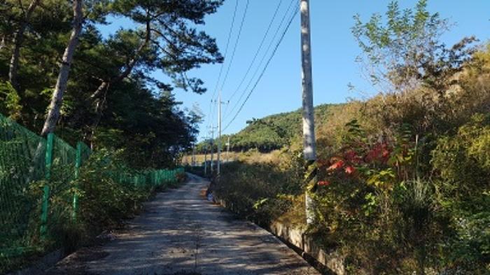 경상북도 의성군 구천면 장국리 산66-1 임야 경매 사진 17