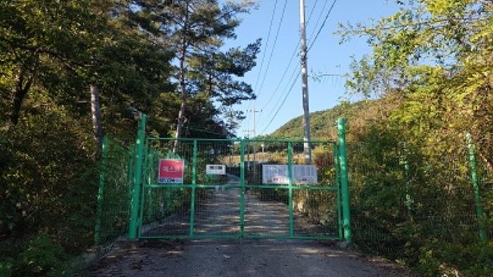 경상북도 의성군 구천면 장국리 산66-1 임야 경매 사진 19