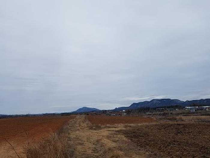 경상북도 의성군 단북면 노연리 334-1 전 경매 사진 15
