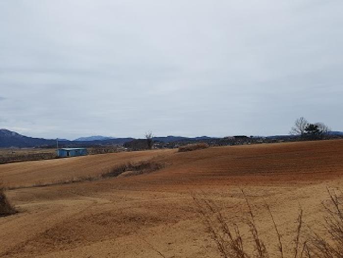 경상북도 의성군 단북면 노연리 334-1 전 경매 사진 16