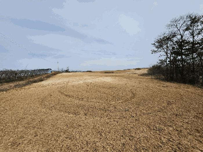 경상북도 의성군 단북면 노연리 334-1 전 경매 사진 4