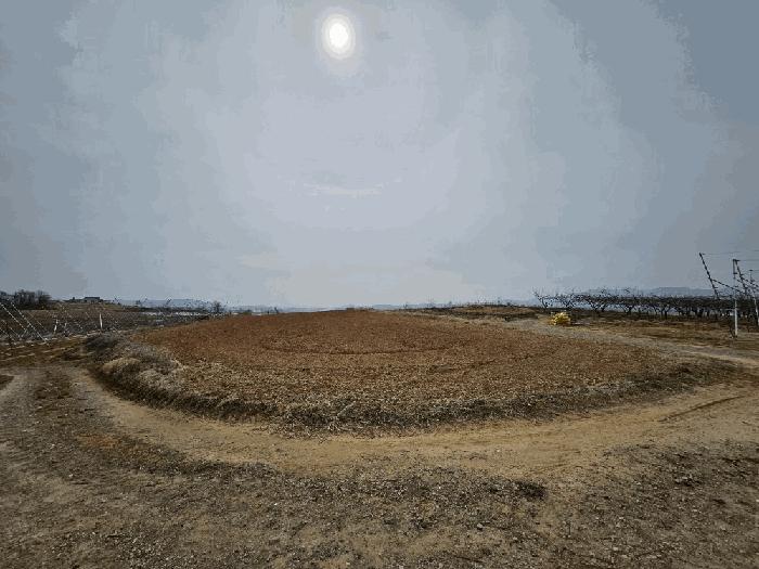 경상북도 의성군 단북면 노연리 334-1 전 경매 사진 5