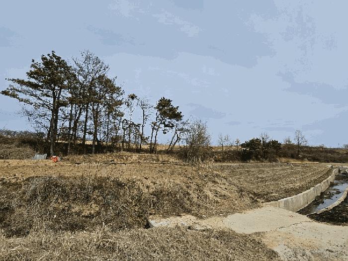 경상북도 의성군 단북면 노연리 334-1 전 경매 사진 7