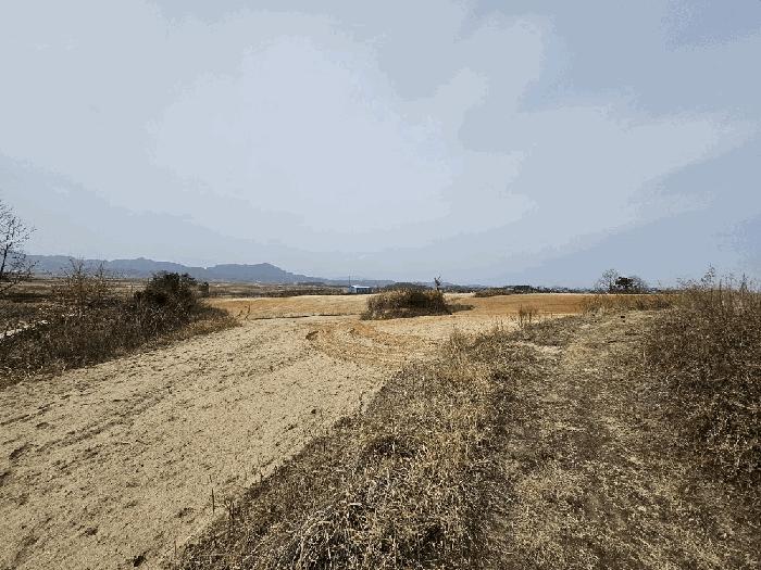 경상북도 의성군 단북면 노연리 334-1 전 경매 사진 9