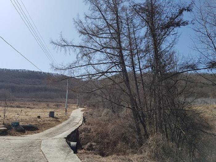 경상북도 청송군 부남면 대전리 산120 임야 경매 사진 10