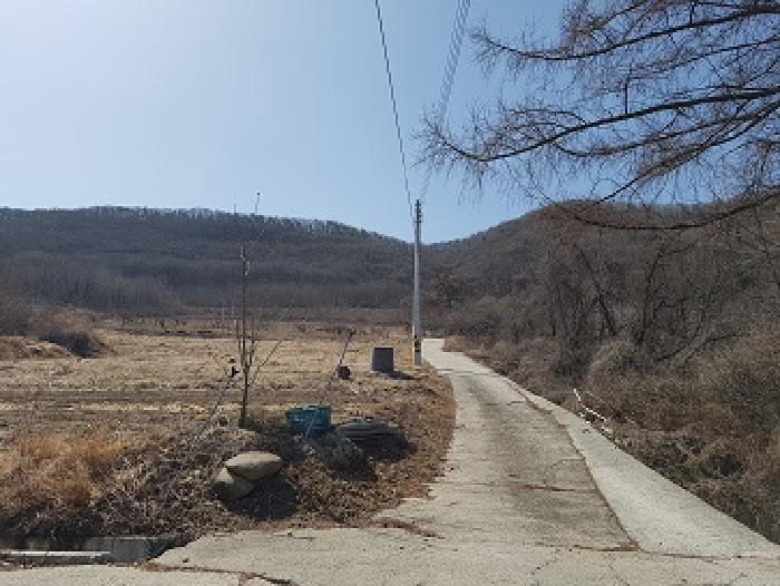 경상북도 청송군 부남면 대전리 산120 임야 경매 사진 11