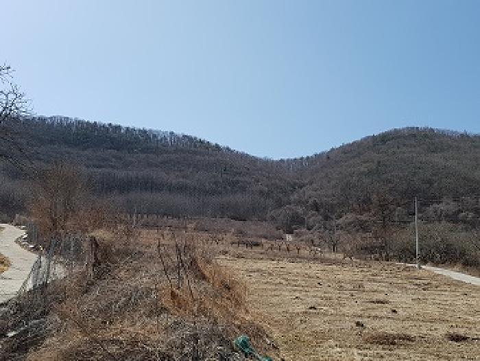경상북도 청송군 부남면 대전리 산120 임야 경매 사진 12
