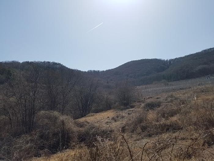 경상북도 청송군 부남면 대전리 산120 임야 경매 사진 13