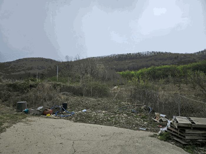 경상북도 청송군 부남면 대전리 산120 임야 경매 사진 5