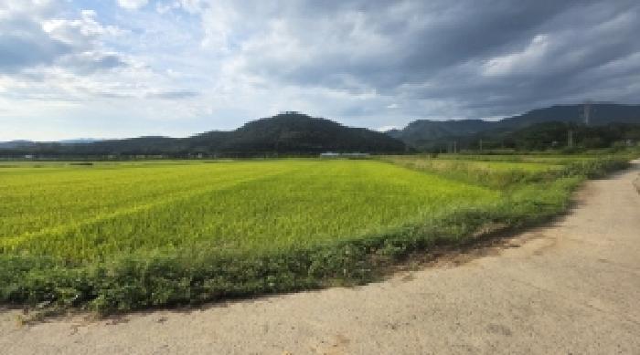 경상북도 구미시 해평면 송곡리 786-1 답 경매 사진 6