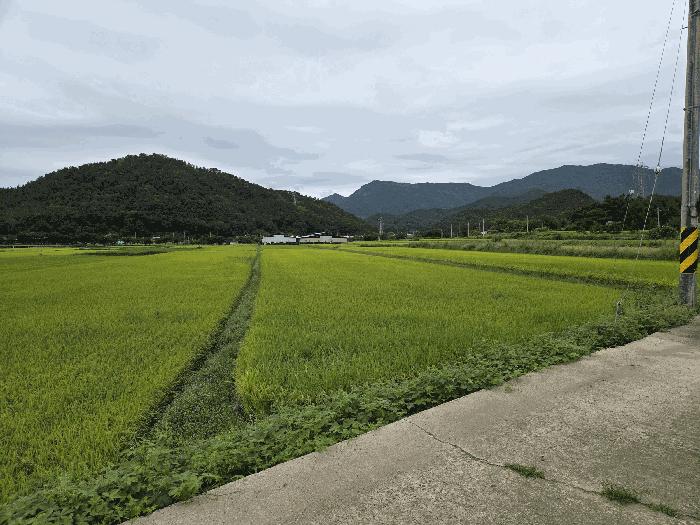 경상북도 구미시 답