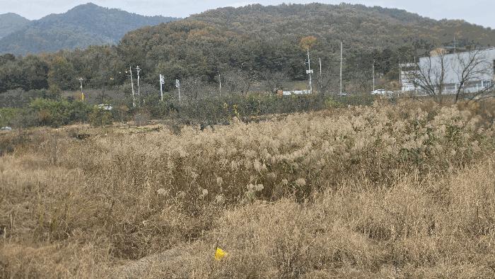 경상북도 구미시 선산읍 이문리 606 답 경매 사진 2