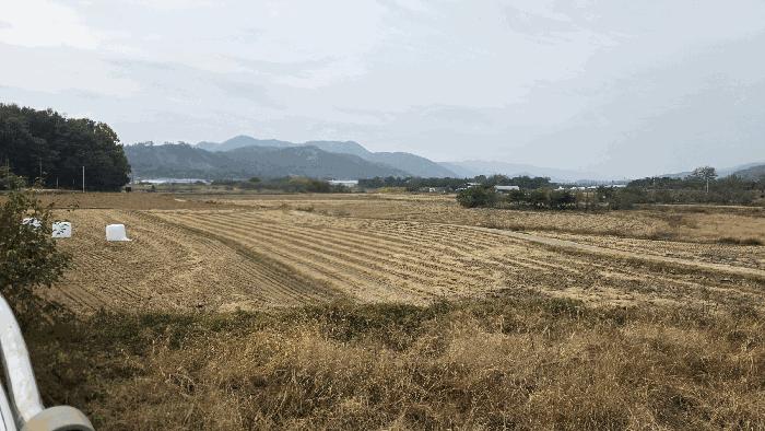 경상북도 구미시 선산읍 이문리 606 답 경매 사진 6