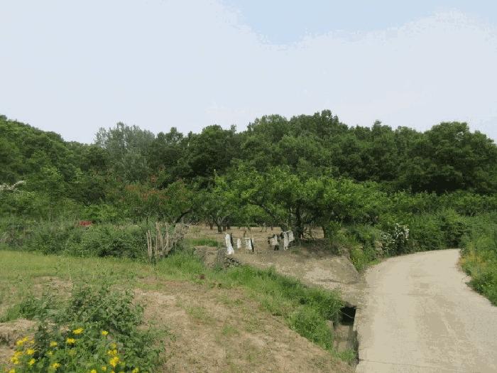 경상북도 의성군 전