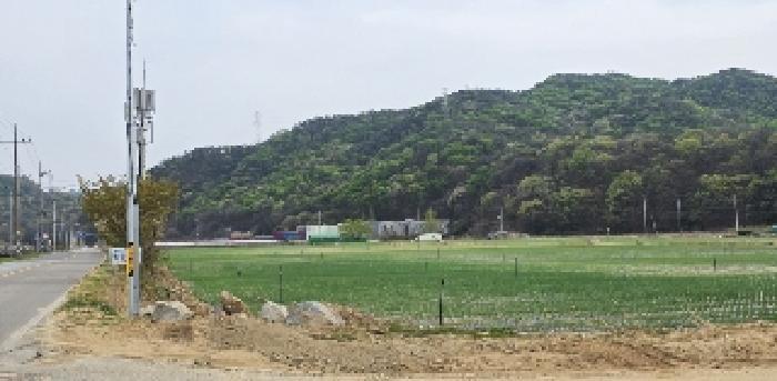 경상북도 김천시 남면 봉천리 산32 임야 경매 사진 10