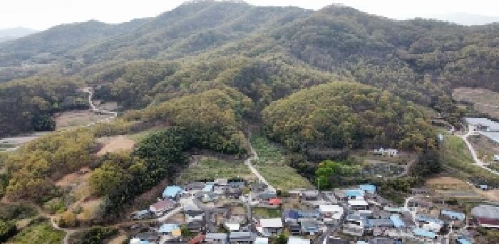 경상북도 김천시 남면 봉천리 산32 임야 경매 사진 12