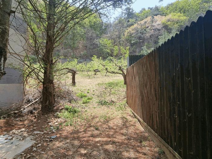 경상북도 김천시 남면 봉천리 산32 임야 경매 사진 8
