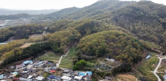 경상북도 김천시 남면 봉천리 산150 임야 경매 사진 13