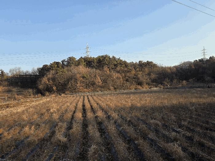경상북도 영천시 임야