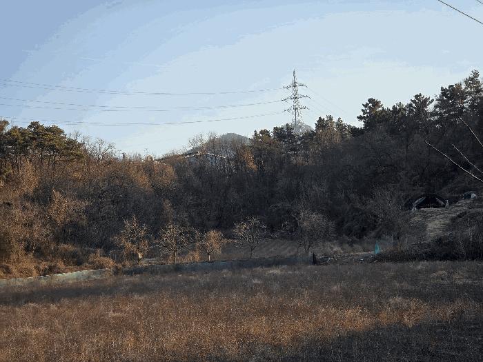 경상북도 영천시 대창면 사리리 산66 임야 경매 사진 2
