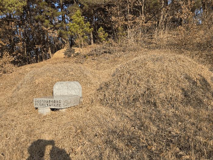 경상북도 영천시 대창면 사리리 산66 임야 경매 사진 3
