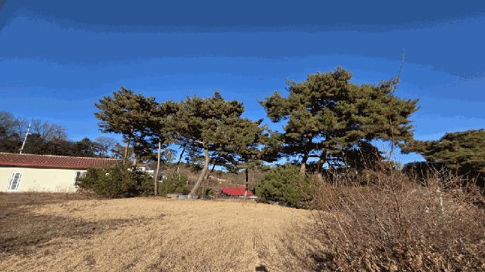 세종특별자치시 연기면 수산리 382-2 창고 경매 사진 4