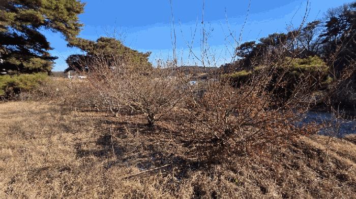 세종특별자치시 연기면 수산리 382-2 창고 경매 사진 6