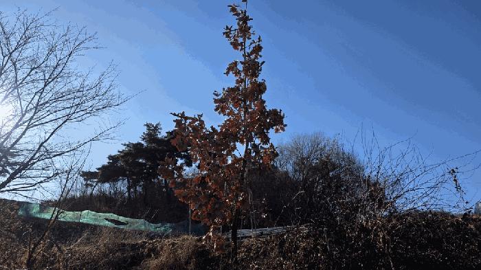 세종특별자치시 연기면 수산리 382-2 창고 경매 사진 8