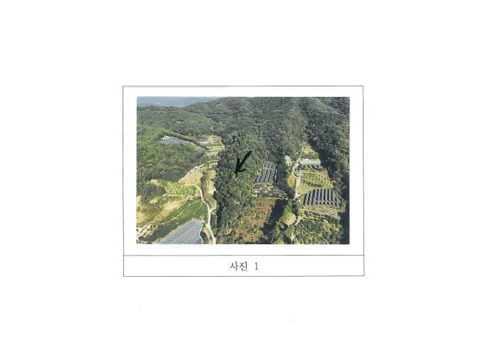경상북도 김천시 감천면 광기리 산17 임야 경매 사진 11