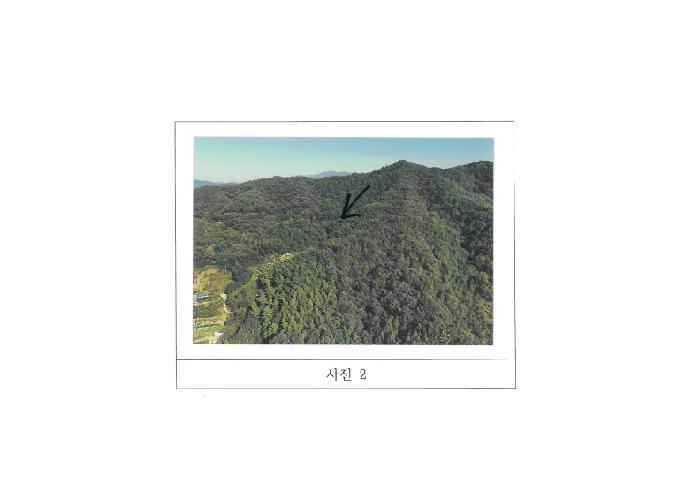 경상북도 김천시 감천면 광기리 산17 임야 경매 사진 12