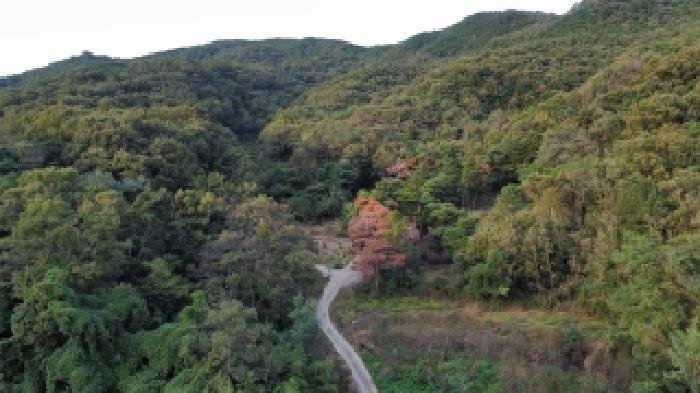 경상북도 구미시 선산읍 죽장리 산28 임야 경매 사진 6