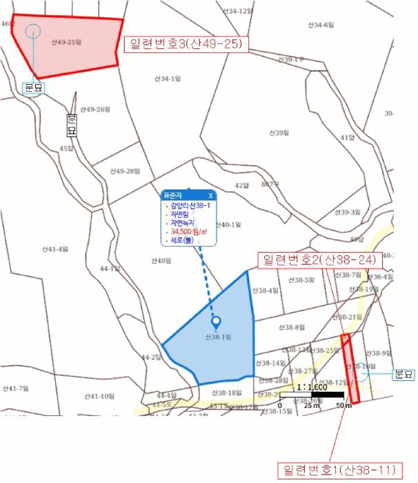 울산광역시 울주군 온산읍 강양리 산49-25 임야 경매 사진 11