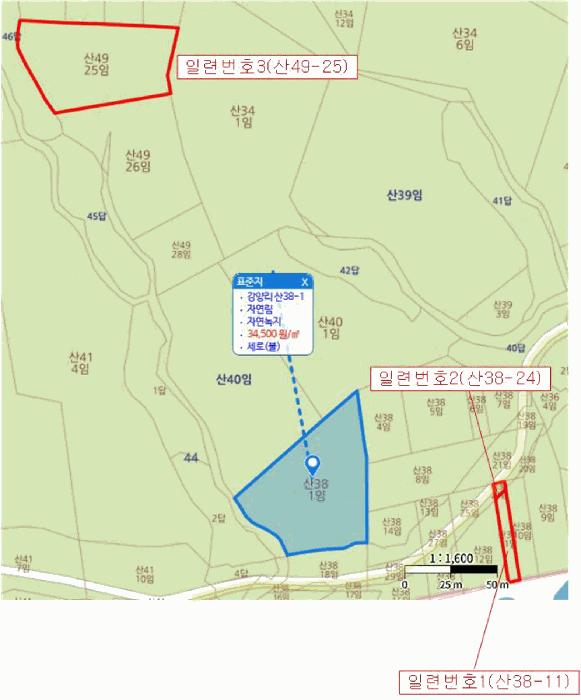 울산광역시 울주군 온산읍 강양리 산49-25 임야 경매 사진 13