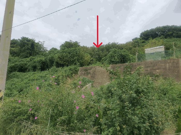 부산광역시 강서구 눌차동 703 묘지 경매 사진 2