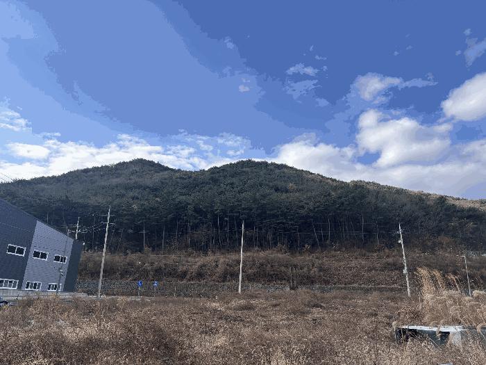 울산 울주군 임야