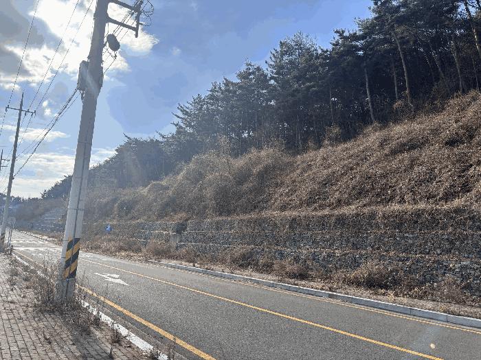 울산광역시 울주군 상북면 양등리 산6 임야 경매 사진 2