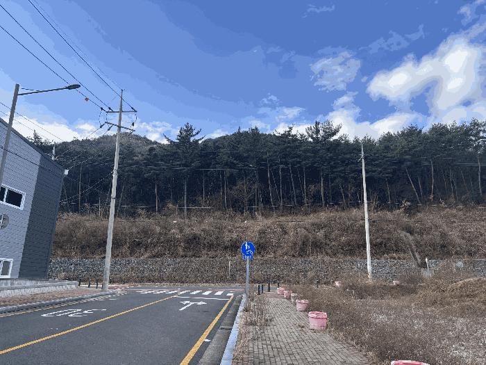 울산광역시 울주군 상북면 양등리 산6 임야 경매 사진 3