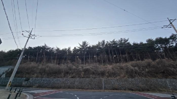 울산광역시 울주군 상북면 양등리 산6 임야 경매 사진 5