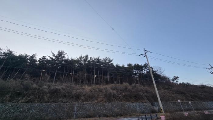 울산광역시 울주군 상북면 양등리 산6 임야 경매 사진 6