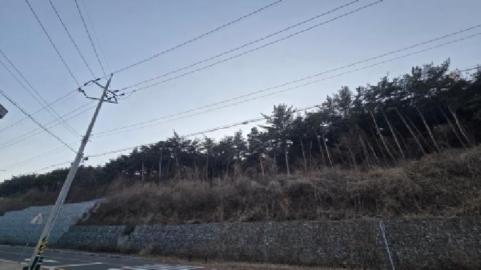 울산광역시 울주군 상북면 양등리 산6 임야 경매 사진 7