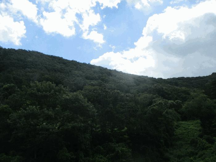 경상남도 김해시 상동면 매리 산154-4 임야 경매 사진 1