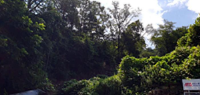 경상남도 김해시 상동면 매리 산154-4 임야 경매 사진 2