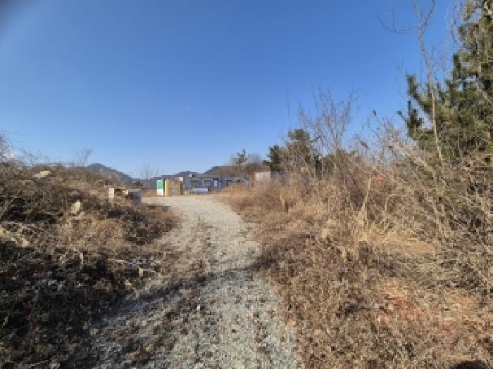 경상남도 창원시 의창구 북면 하천리 산126-11 임야 경매 사진 10