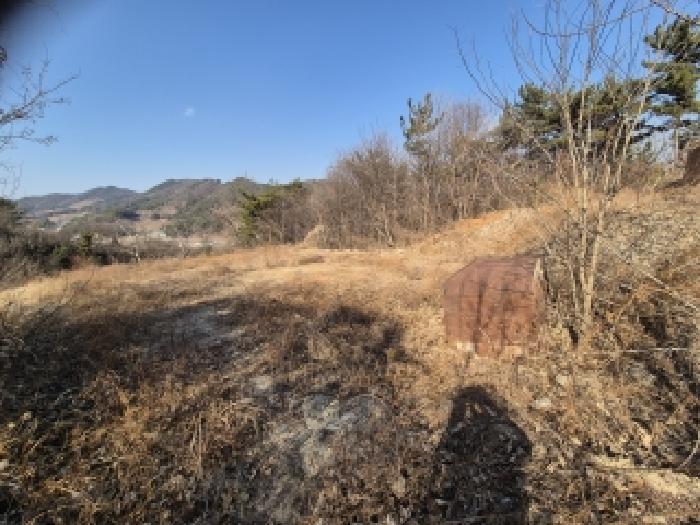 경상남도 창원시 의창구 북면 하천리 산126-11 임야 경매 사진 13