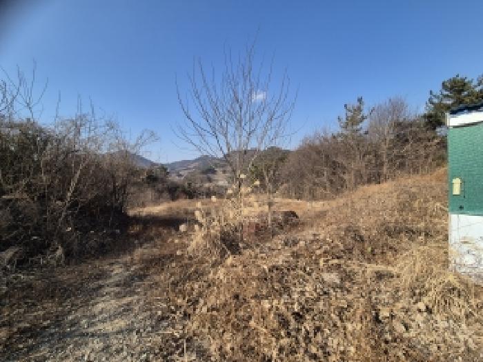경상남도 창원시 의창구 북면 하천리 산126-11 임야 경매 사진 14