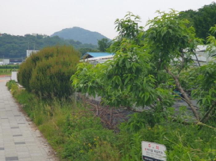 경기도 가평군 조종면 신상리 339-1 상가 경매 사진 12