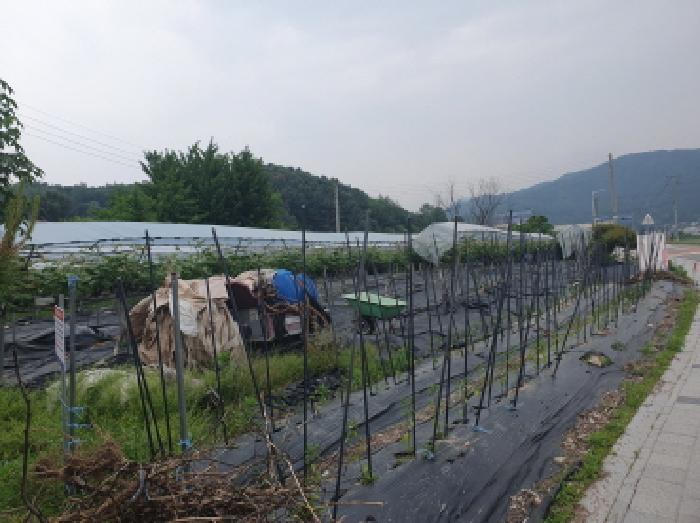경기도 가평군 조종면 신상리 339-1 상가 경매 사진 14